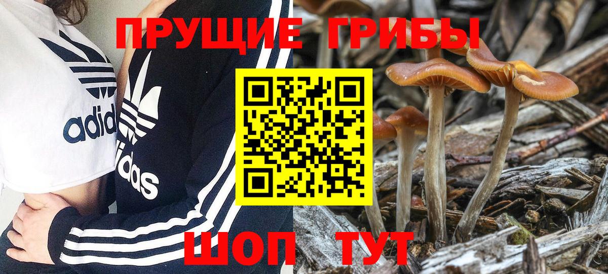 Галлюциногенные грибы GOLDEN TEACHER  Галлюциногенные грибы MAGIC MUSHROOMS  Батайск  Вход с VPN 